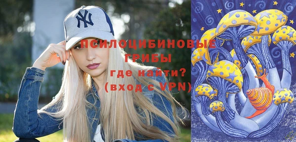 2c-b Белокуриха
